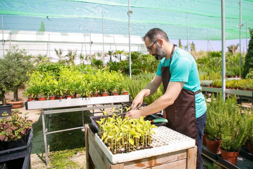 Langfristiger Werterhalt: Strategien zur optimalen Pflege Ihrer Wohnimmobilie